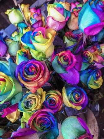 Colourful Image Pictures