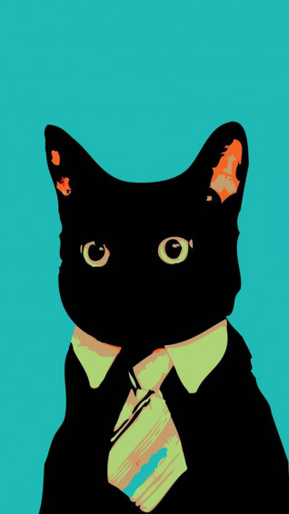 Cat iPhone Wallpaper