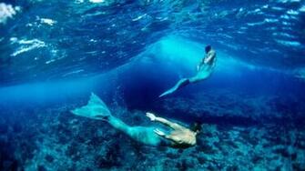 Miscellaneous Mermen Desktop Wallpaper Nr