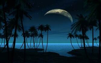 Beach At Night Pictures HD Wallpaper Live