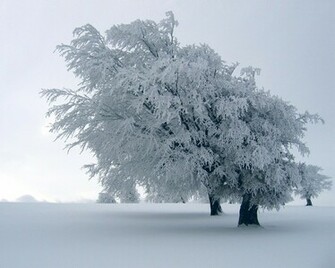 HD Winter Landscape Wallpaper Nature