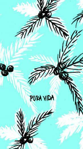Palms Digi Pura Vida Bracelets iPhone Wallpaper