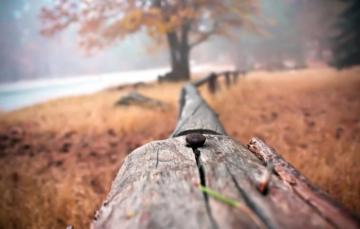 Wallpaper Abstract Photography Close Up Field