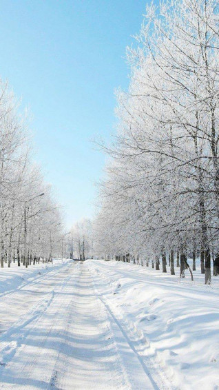 Snow Winter iPhone Wallpaper