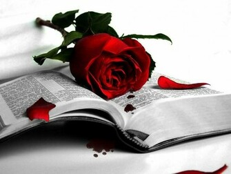 Rose Wallpaper And Quotes The Wondrous Pics