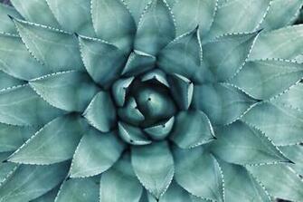 Abstract Nature Best Wallpaper Amazing