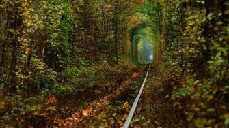 My Greatest World Destination Tunnel Of Love In Klevan Ukraine