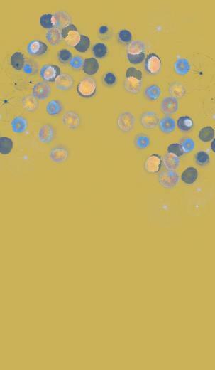 Trove Alula Wallpaper Detail Colorful Bold Pinter