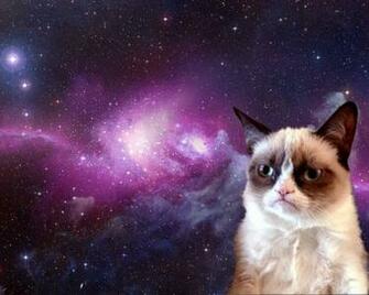 Cat In Space Wallpaper Hq