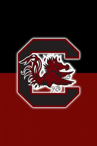 Michael Austin On Carolina Gamecocks South