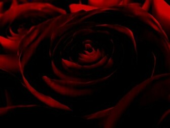 Dark Red Rose Gothic And Terror Wallpaper Sharewallpaper