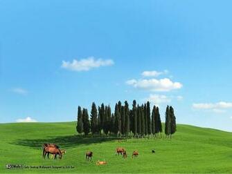 Daily Desktop Wallpaper Designed By Itzik Gur