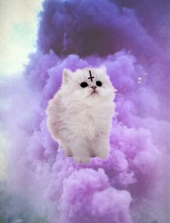 Pastel Goth Cat Cross Religion