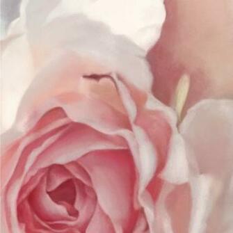 Incandescent Rose Floral Wallpaper Ellie Cashman Design