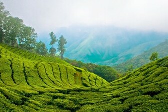 Kerala HD Wallpaper