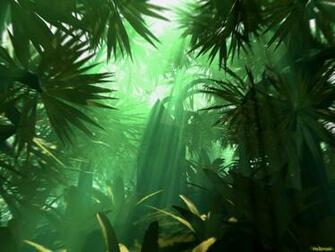 Background Jungle Kindle Pics