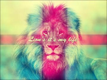 Colored Lion Wallpaper By Handzgfx