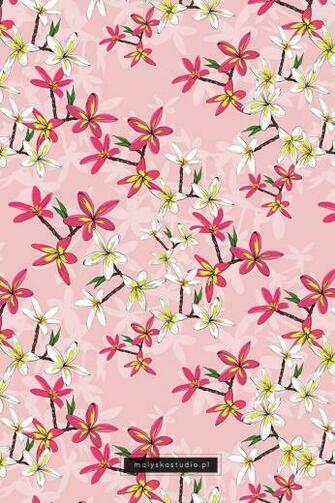 Flowers Of Plumeria Pink Background Flower
