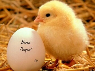 Wallpaper Ready To Easter On Your Desktop With Eggs And Cute