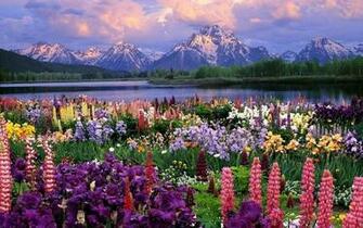 Spring Computer Wallpaper Top Background