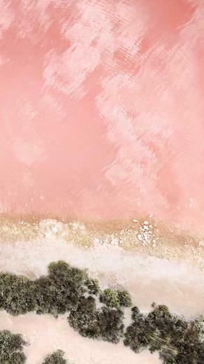 Ios Wallpaper iPhone Ideas Pink
