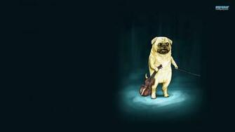Classical Music Image Violinist Dog HD Wallpaper And