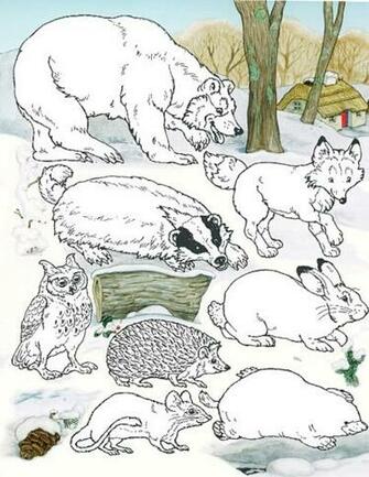 The Mitten Lesson Plan