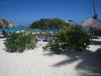 Fond D Cran Punta Cana Republique Dominicaine Wallpaper Grand