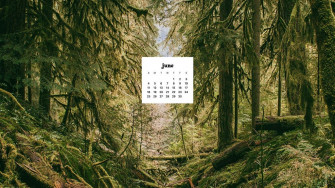 June Wallpaper Bies For Desktop Phones