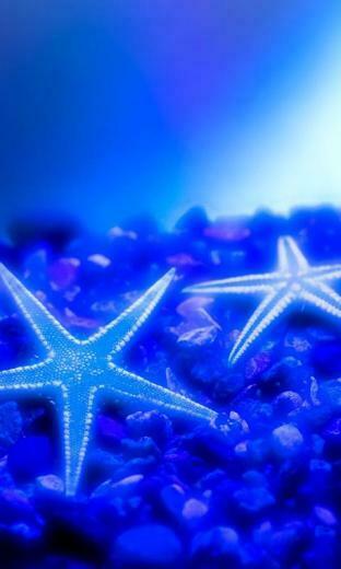 Ocean Live Wallpaper Screenshot