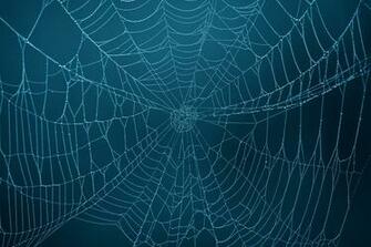 Spider Web Background Theme Related Keywords Amp Suggestions
