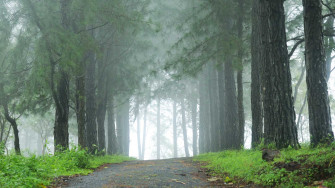 Vagamon Wagamon Hill Station Heights
