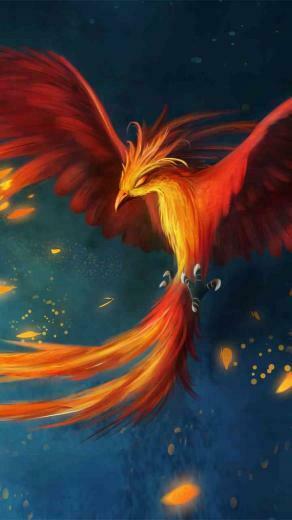 Phoenix Wallpaper Note F13 S11