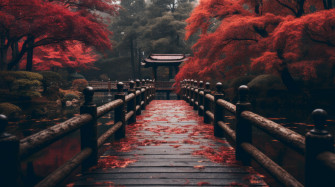 Fall HD Wallpaper And Background