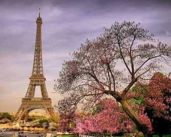 Likefun Me Paris Eiffel Tower In Spring Bloom