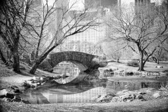 Central Park Winter Wallpaper