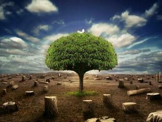 Best Nature Wallpaper Collection Ever For Dekstop
