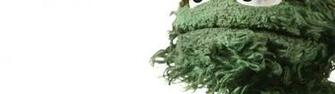Oscar The Grouch Qqa
