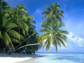 Caribbean Island Wallpaper Image Pictures Becuo