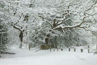 New England A Site About All Of The Things To Do In