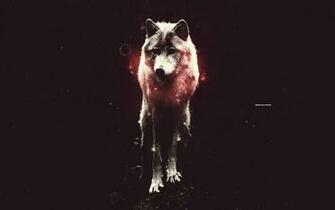 Wolf HD Wallpaper 1080p Desktop Background