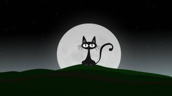 Cartoon Cat Wallpaper