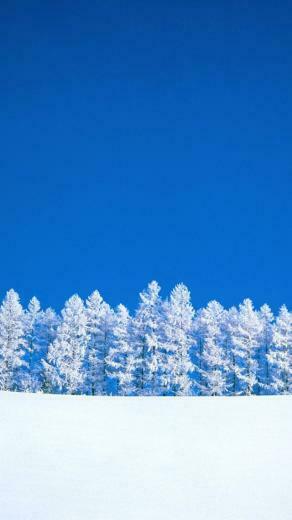 Winter Wallpaper iPhone