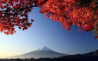 Autumn Scene Background Wallpaper For Desktop
