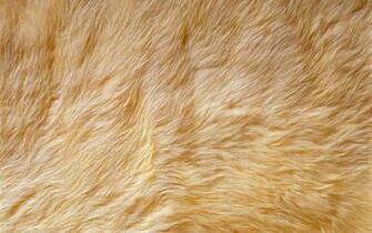 Cristian Wallpaper Fur Fabric Cheap