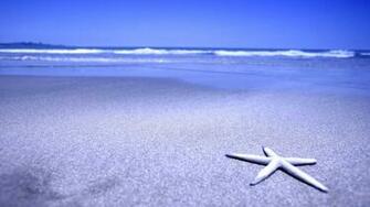 Starfish On The Beach Wallpaper
