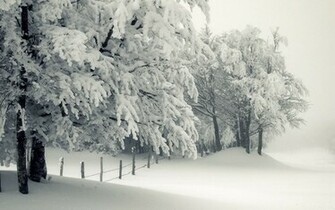 Blizzard Winter HD Wallpaper