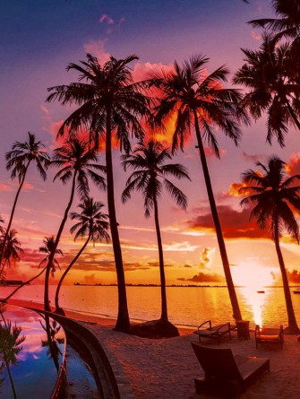 Maldives Sunset Beach Pictures Nature Photography