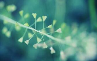 HD Minimalist Wallpaper Of Colors Macro Image And More