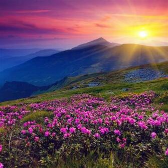 Sun Shining Over Hills iPad Air Wallpaper iPhone